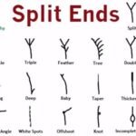 Split Ends : Tips To Control And Prevent