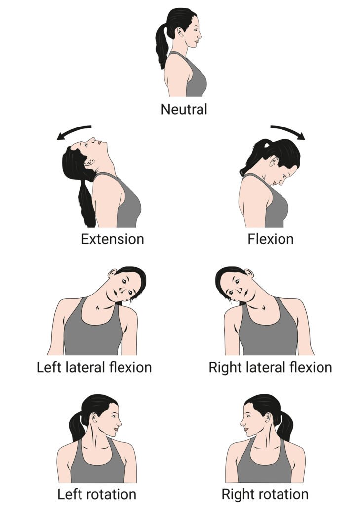 Neck roll exercise for face fat reduction
