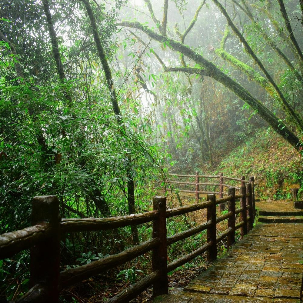 Shillong, Meghalaya