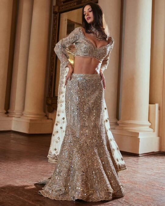 Different types of Lehenga Style