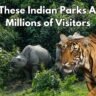 Most-Visited -National-Parks-in-India