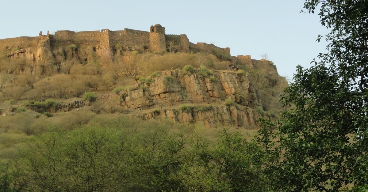 Ranthambore National Park, Rajasthan