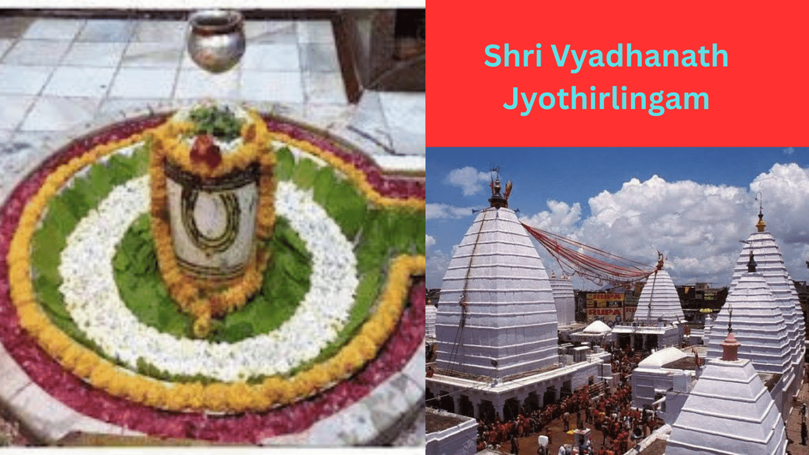 Shri -Vydhyanath-Jyothirlingam