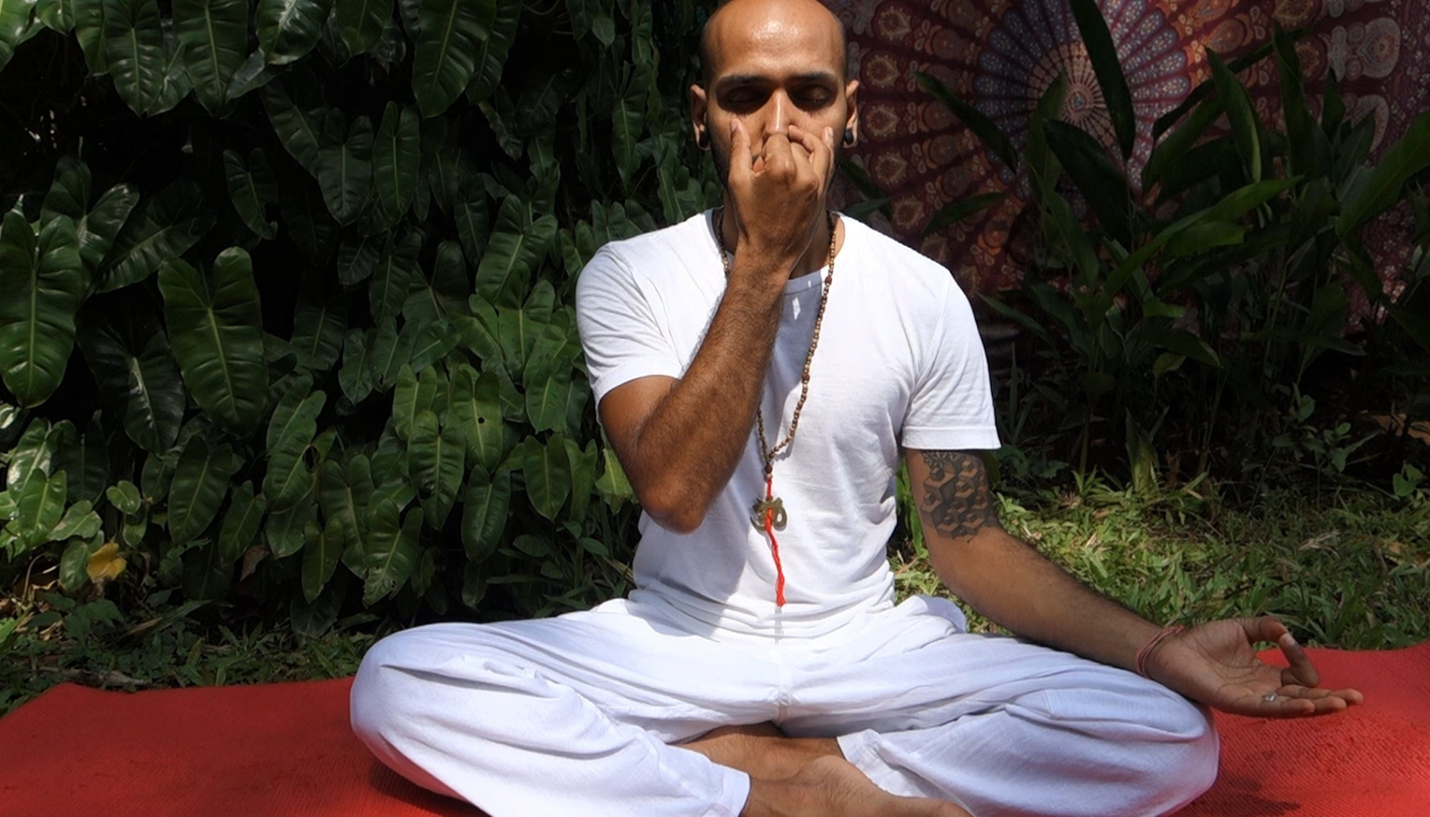 Pranayama techniques for mental clarity Nadi Shodhana (Alternate Nostril Breathing)