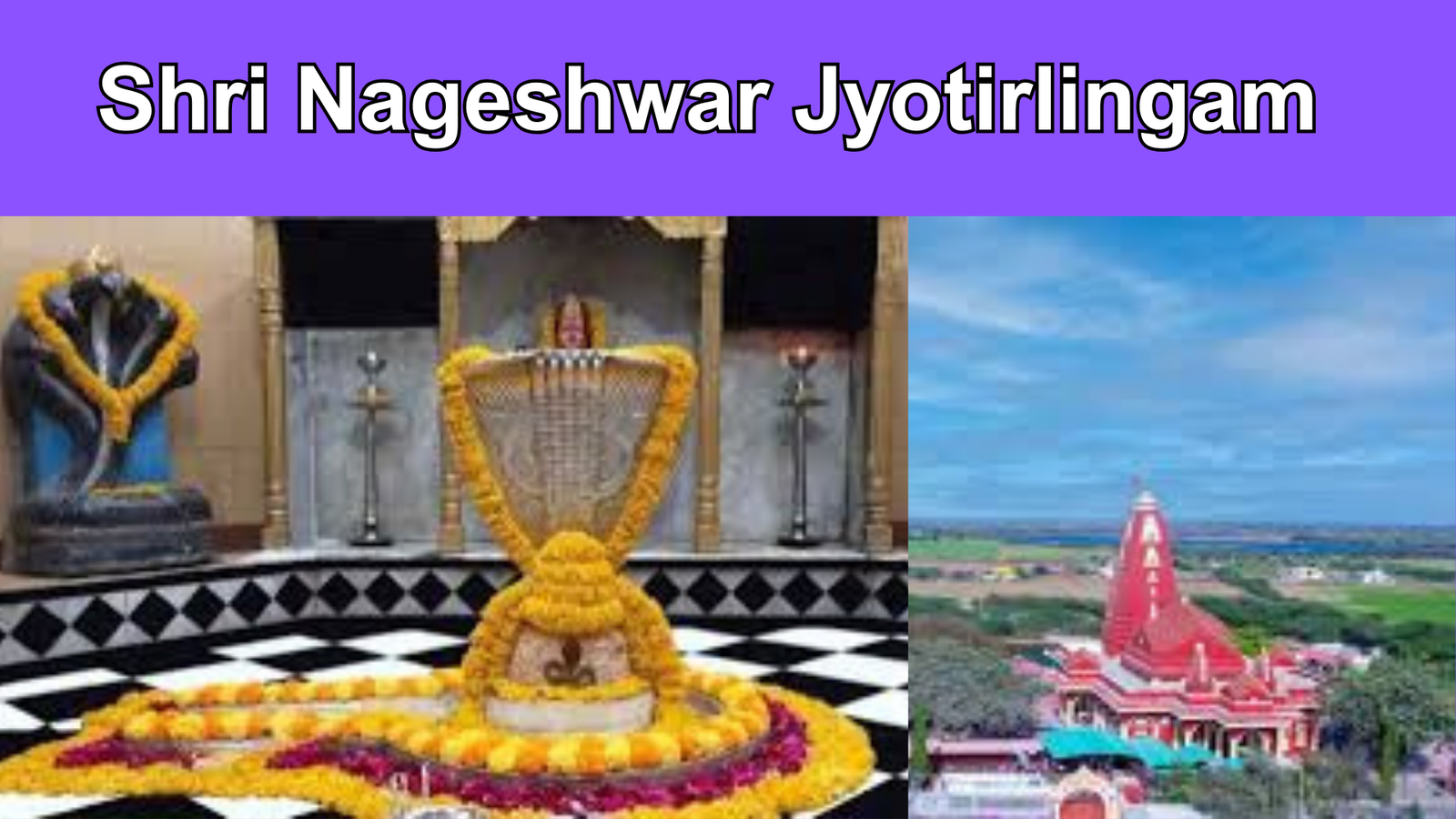 Shri Nageshwar Jyotirlingam
