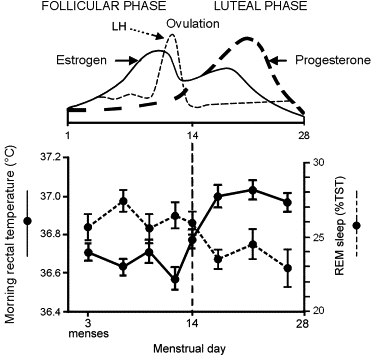 Sleep and Circadian Rhythm