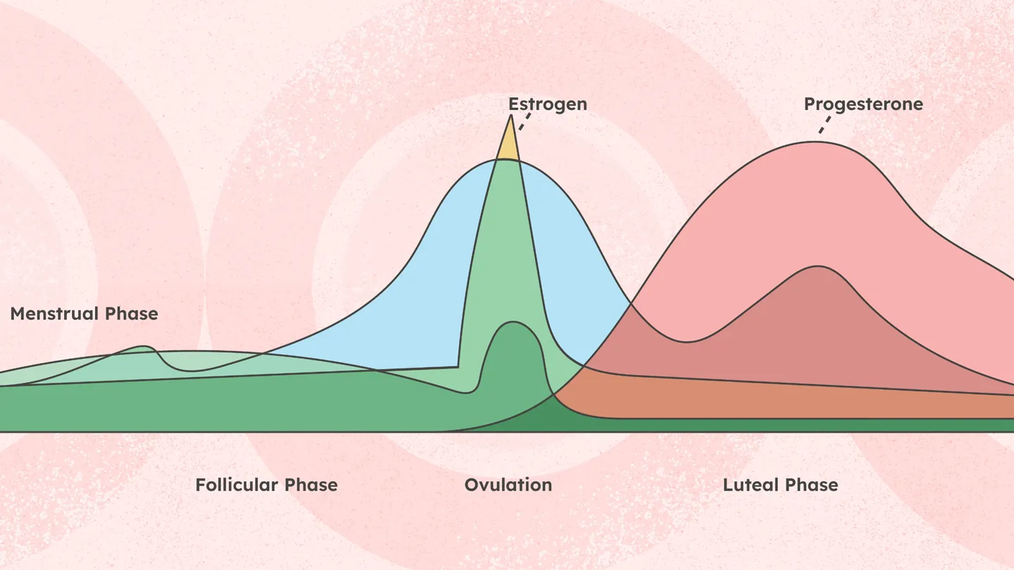 Harmonal changes during menstruation
