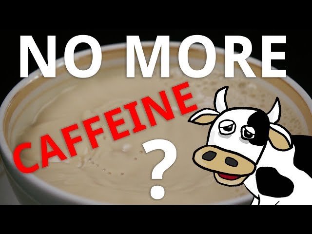 Avoid caffeine after 3 pm